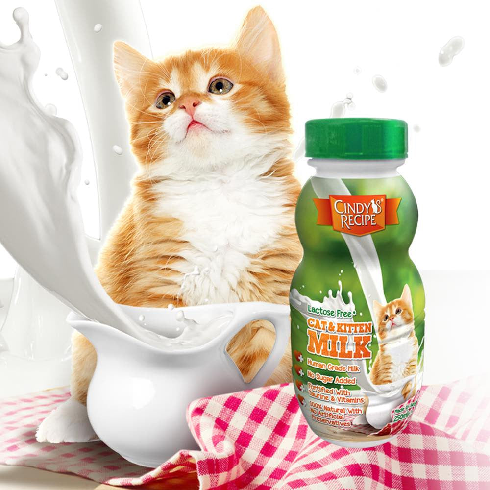 Cindy??s Recipe Lactose Free Cat & Kitten Milk 250ml