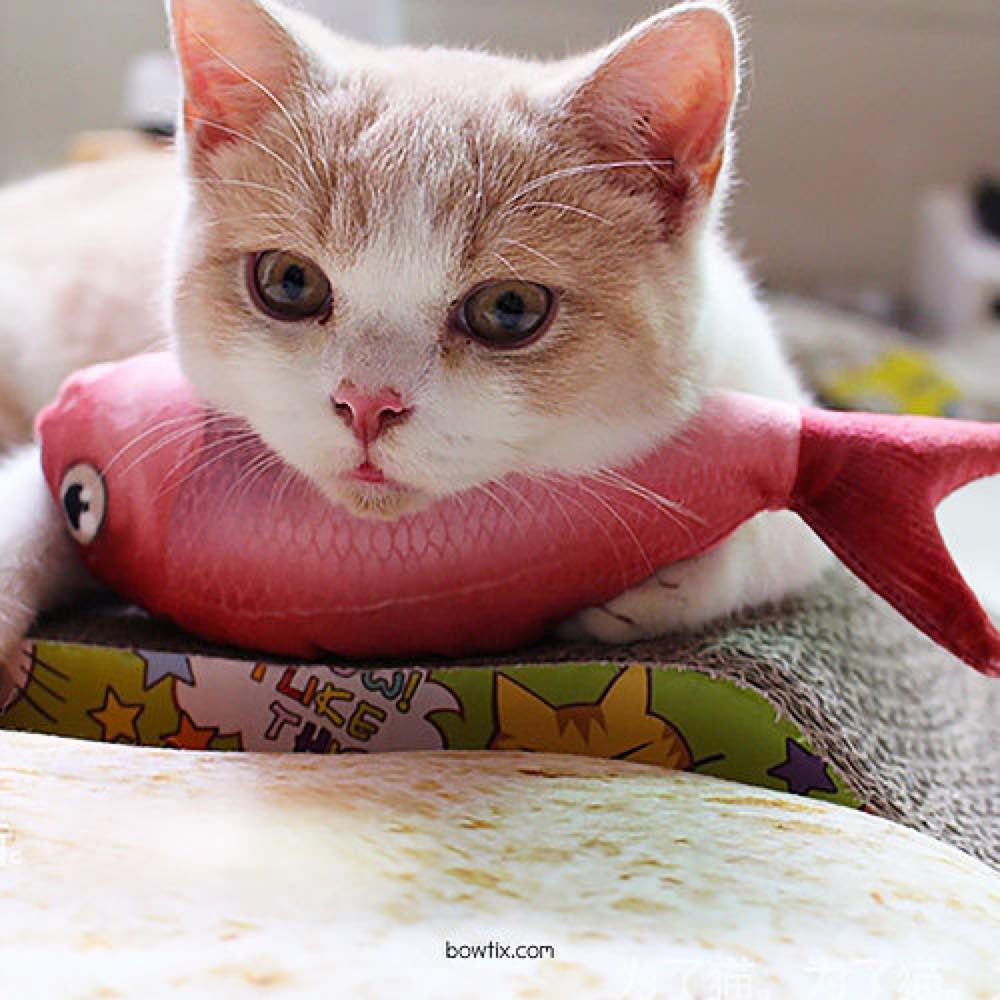 Bowtix Fish Market Catnip-Filled Cat Toy