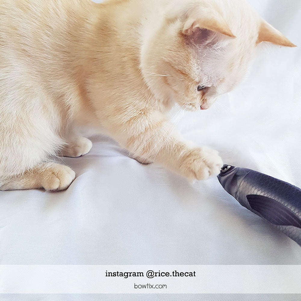 Bowtix Fish Market Catnip-Filled Cat Toy