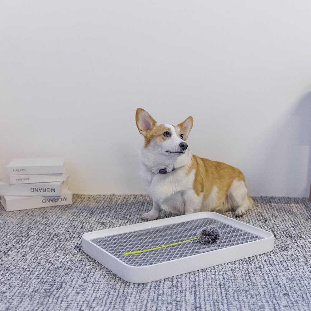 PETKIT PURA DOG Training Pee Tray