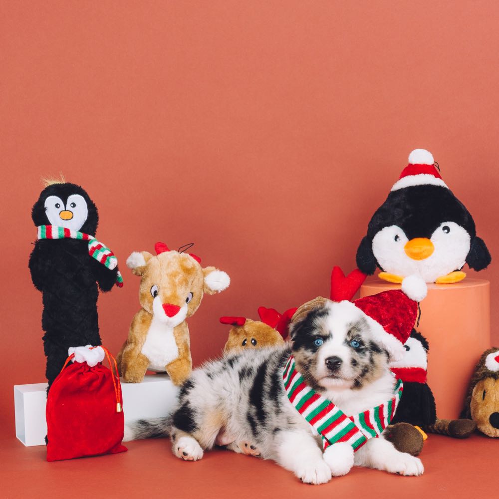 ZippyPaws Christmas Jigglerz Penguin Dog Toy