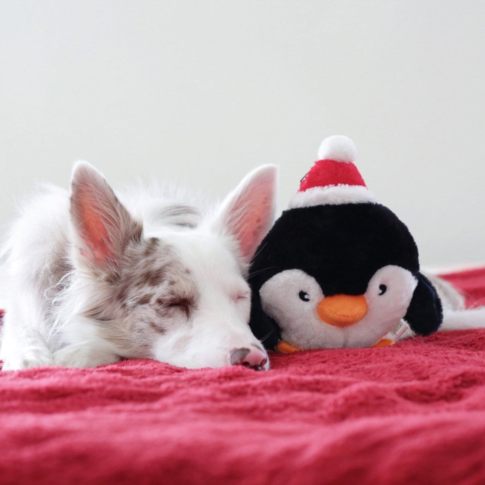 ZippyPaws Holiday Brainey Penguin Dog Toy
