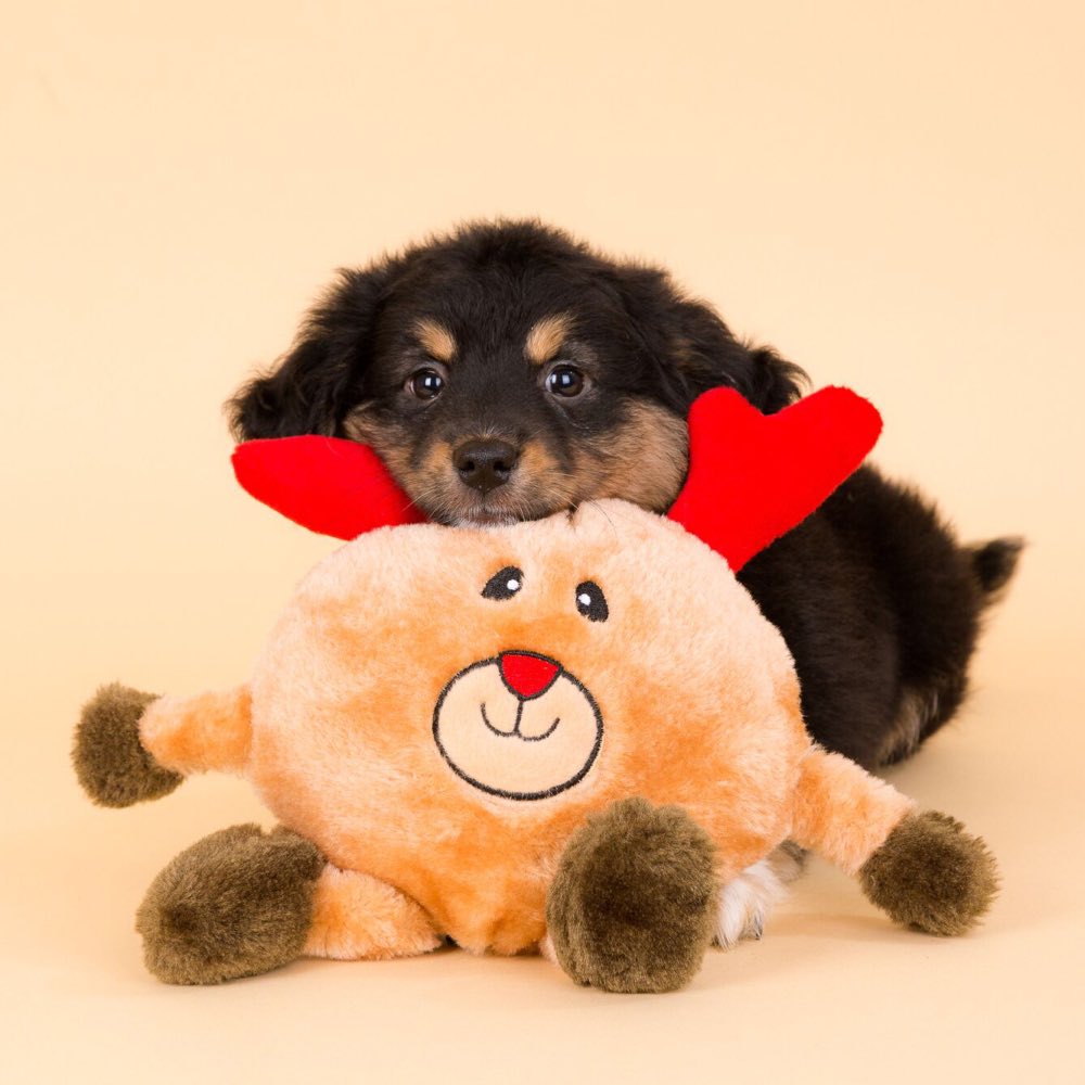 ZippyPaws Holiday Brainey Reindeer Dog Toy
